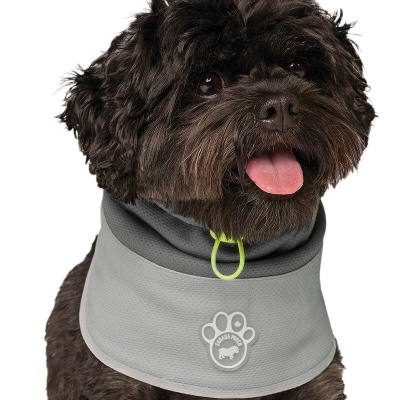 Canada Pooch, Max Chill Cooling Snood Grey image number null